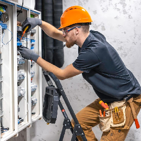 Professional Doing work in the Field